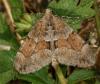 104572 – Photo : Pelouard – France (72)