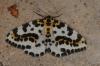 104984 – Photo : Paul Cabrol – France (09)