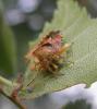 104256 – Photo : Maria Justamond – Royaume-Uni