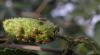 104865 – Photo : Maria Justamond – Royaume-Uni