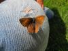 104681 – Photo : Alexandre Guillemot – France (74)
