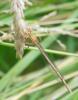 104590 – Photo : Didier Houbrechts – Belgique