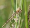 104588 – Photo : Didier Houbrechts – Belgique