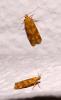 105000 – Photo : Arnaud Jean-Pierre – France (09)