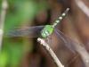 105420 – Photo : Vincent VALLI – Guadeloupe