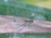 105412 – Photo : Druet Nicole – Belgique