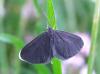 105532 – Photo : Vincent VALLI – France (74)