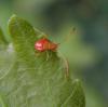 105064 – Photo : Maria Justamond – Royaume-Uni
