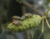 105479 – Photo : Maria Justamond – Royaume-Uni