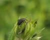 105368 – Photo : Maria Justamond – Royaume-Uni