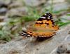105411 – Photo : Vincent VALLI – France (74)