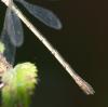 106825 – Photo : Didier Houbrechts – Belgique