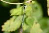 106978 – Photo : Michel Mathieu – France (14)