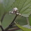 106970 – Photo : D. Martinez – Philippines