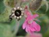 107863 – Photo : Maria Justamond – Royaume-Uni