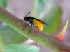 107271 – Photo : Amaury de la Pinsonnais – France (22)