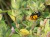 107548 – Photo : Paplib – France (04)