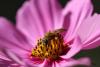 107264 – Photo : Renaud Torres – France (44)
