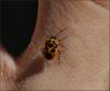 107276 – Photo : Andgelo Mombert – France (39)