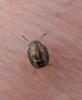 107045 – Photo : Maria Justamond – Royaume-Uni