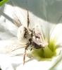 107600 – Photo : Christa Gihr – France (04)
