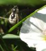 107601 – Photo : Christa Gihr – France (04)