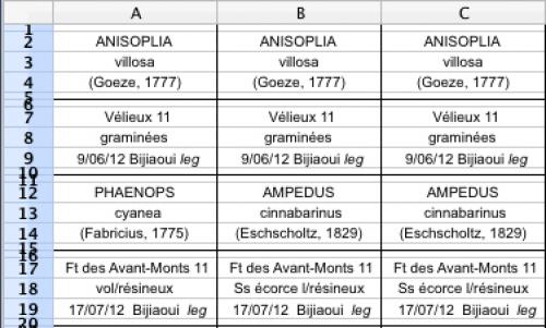Etiquettes sp.