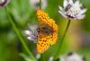 108360 – Photo : Pierre Duhem – France (73)