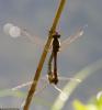 108504 – Photo : Didier Houbrechts – Belgique