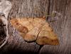 108645 – Photo : Arnaud Jean-Pierre – France (09)