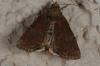 108100 – Photo : Paul Cabrol – France (09)
