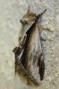 108779 – Photo : alain Roujas – France (31)