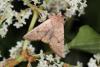 108811 – Photo : Michel Ehrhardt – France (68)