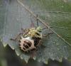 108092 – Photo : Maria Justamond – Royaume-Uni