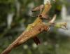108455 – Photo : Bruno Oger – France (85)