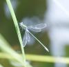 108134 – Photo : Didier Houbrechts – Belgique