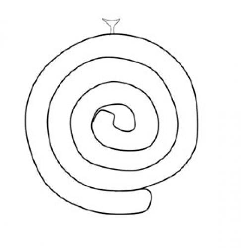 Réf. 109 682 : Micridium halidaii