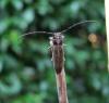 109550 – Photo : Raffaele Bocchini – Italie