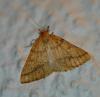 109371 – Photo : Patrick Decreus – Espagne
