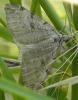 109532 – Photo : Guillaume Chorgnon – France (42)