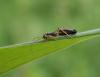109424 – Photo : Maria Justamond – Royaume-Uni
