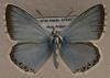 109055 – Photo : Jean-Alain GUILLOTON – Espagne