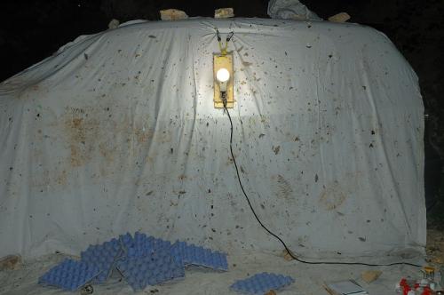 Lumineux drap