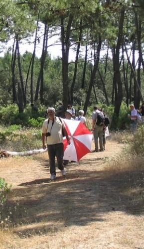 Oléron 2006