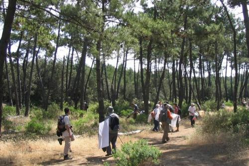 Oléron 2006