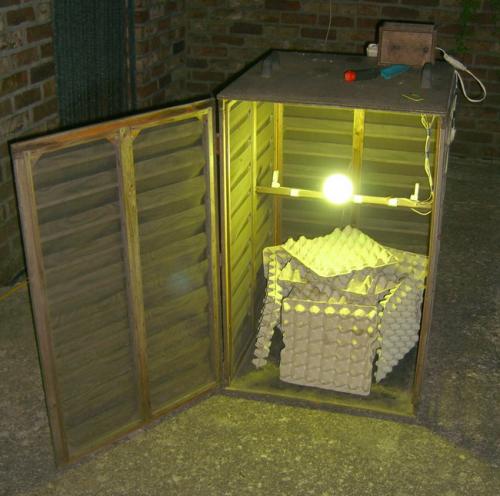 Réf. 11 656 : Lumineux cage