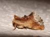 11106 – Photo : Arnaud Jean-Pierre – France (09)