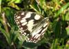 11051 – Photo : Cecile Bassaglia – France (91)