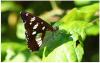 11202 – Photo : Jeff – France (47)