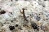 110122 – Photo : Nicolas Alric – France (12)